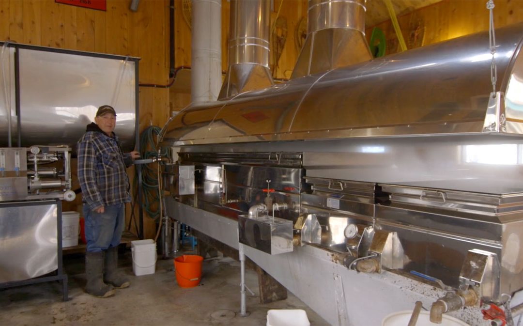 L’acériculture expliquée